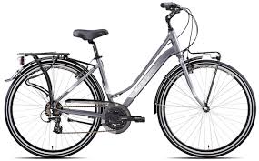 Bicicletta City-Bike Olympia “College 2023” Donna colore Argento-Bianca