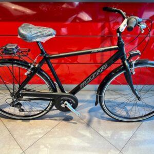 Bicicletta City-Bike Olympia “College 2023” Donna colore Argento-Bianca